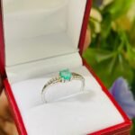 WhatsApp Image 2026-02-21 at 4.29.05 PM