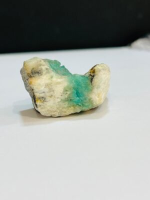 WhatsApp Image 2026-02-27 at 12.49.26 PM anillo